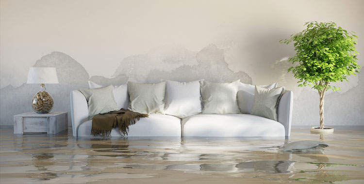 MobileTrack Restoration